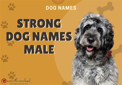 Selecting the Perfect Name for Your Mighty Canine Companion: A Guide to Dog Names for Big Dogs