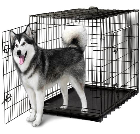 Selecting the Perfect XXXL Dog Kennel: A Comprehensive Guide for Large Breed Owners