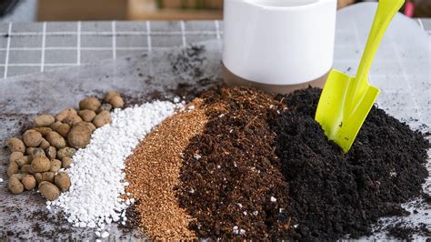 Selecting the Right Fertilizer