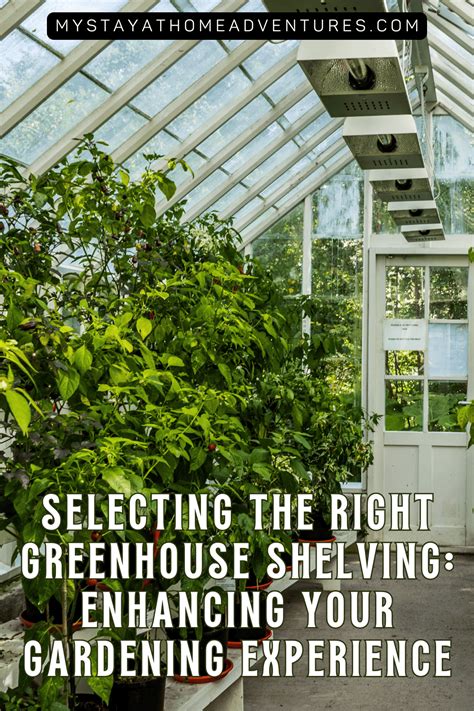 Selecting the Right Trees for Your Greenhouse