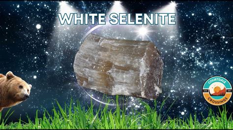 Selenite Meaning: A Deep Dive into its Significance