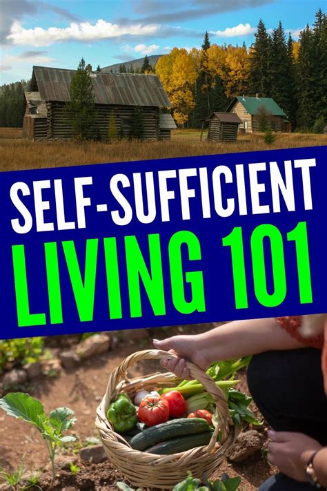 Self Sufficient Life How Live Kindle Editon