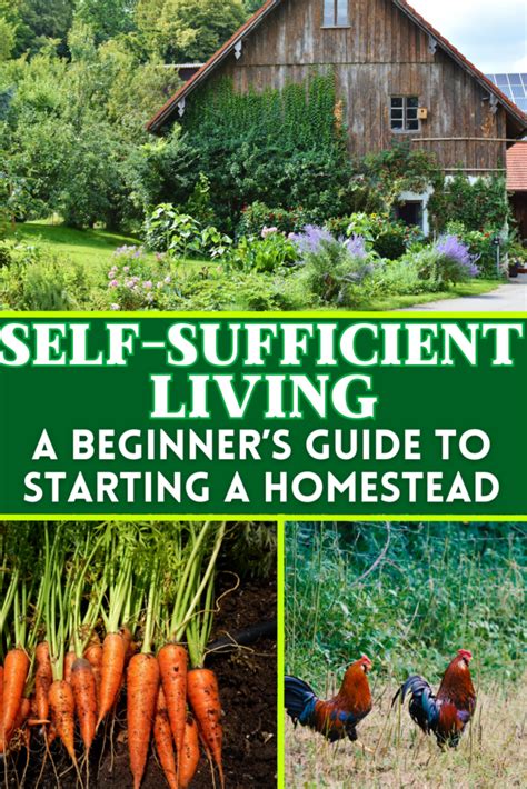 Self Sufficient Living A Beginners Guide To Self Sufficient Living and Homesteading Kindle Editon