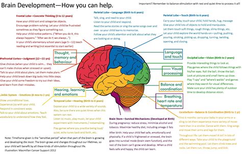 Self-Study Brain: A Comprehensive Guide to Independent Learning