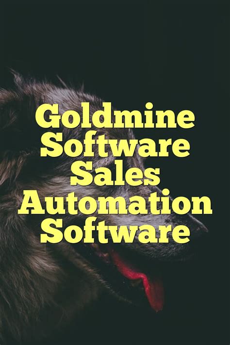 Selling With Goldmine Software Reader