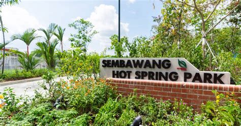 Sembawang Hot Spring Park Singapore: A Guide to Exploring Singapore's Natural Oasis for Free