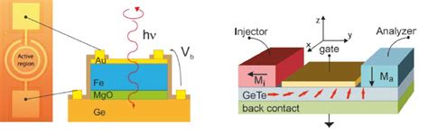 Semiconductor Spintronics PDF