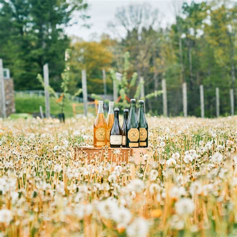 Seminary Hill Cidery: The Orchard-to-Bottle Experience Unleashing the Essence of Apples