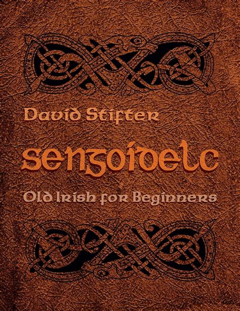 Sengoidelc Old Irish for Beginners Irish Studies  Epub