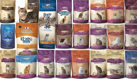 Senior Dry Cat Food: The Ultimate Guide to Choosing the Best Option