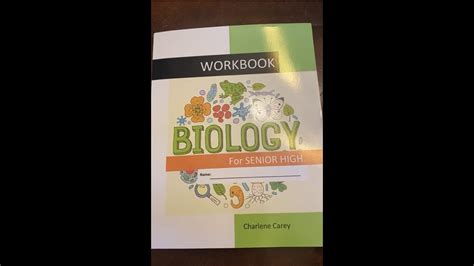 Senior High Workbook. Cycle B Kindle Editon