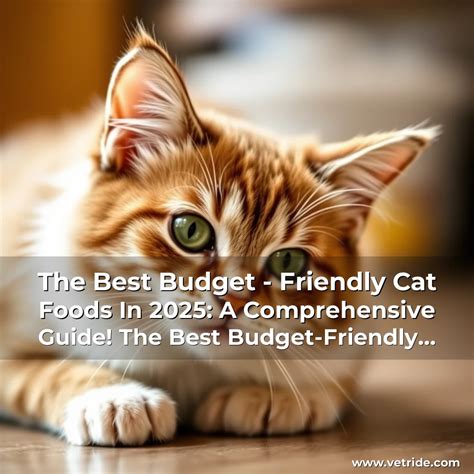 Senior-Friendly Cat Doors: A Comprehensive Guide for 2025