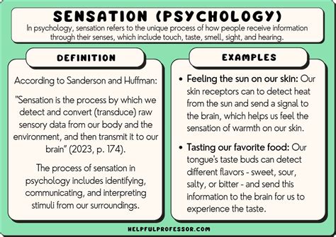 Sensation & Perception, Third Edition - Sinauer Associates Ebook PDF