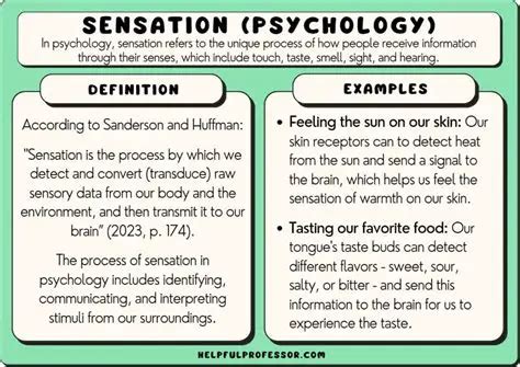 Sensation in AP Psychology: Unraveling the Sensory Gateway to Our World