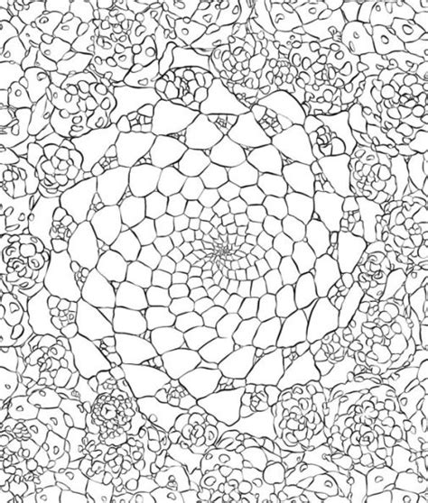 Sensational Succulents An Adult Coloring Book of Amazing Shapes and Magical Patterns PDF