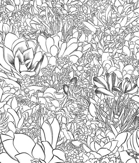 Sensational Succulents An Adult Coloring Book of Amazing Shapes and Magical Patterns Doc