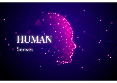 Senses: Unlocking the Gateway to a Vibrant and Meaningful Life