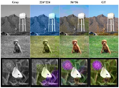 Sensor state colorization