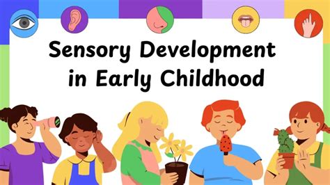 Sensory Development: