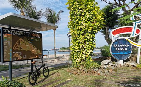 Sentosa Bicycle Rental: Your Guide to Explore the Enchanting Island on Two Wheels