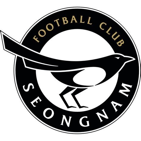 Seongnam FC: Mais do que Apenas um Time de Futebol