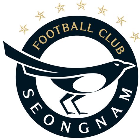 Seongnam FC: Uma História de Sucesso e Paixão no Futebol Sul-Coreano
