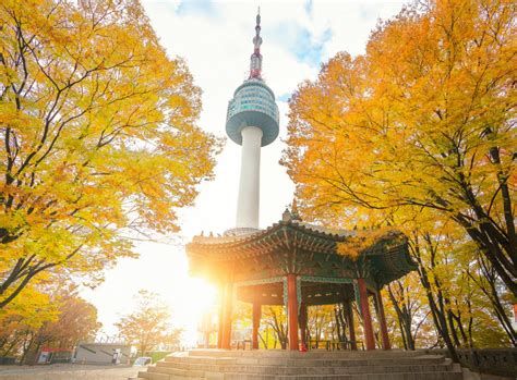 Seoul's Top 10 Autumn Destinations in 2025