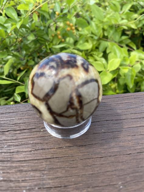 Septarian Crystal: A Geological Marvel with Ancient Wisdom