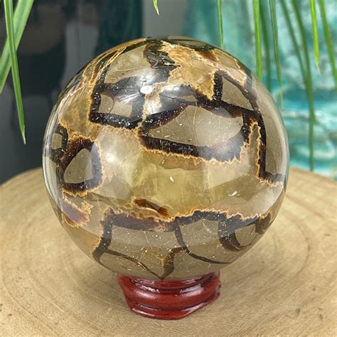 Septarian Crystal: The "Dragon Stone" Unveiled