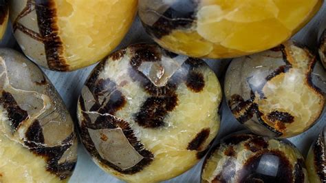 Septarian Crystal: The Stone of Transformation and Empowerment