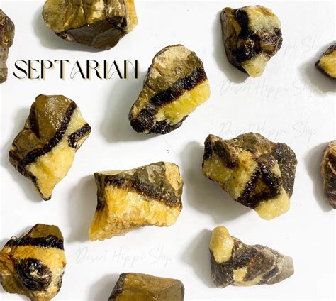 Septarian Crystal: The Stone of Transformation and Grounding