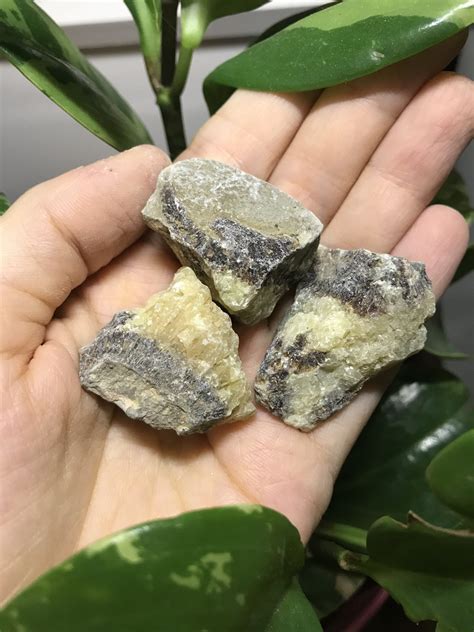 Septarian Crystal: The Unifying Stone of Change and Growth