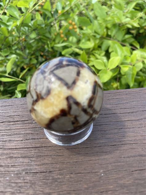 Septarian Crystal: Uncover the Ancient Wisdom and Healing Power