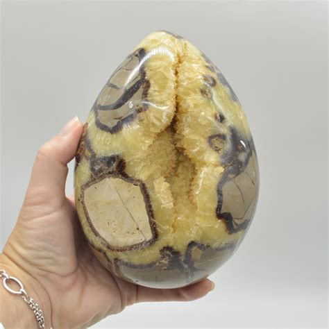 Septarian Crystal: Unlocking the Secrets of the Dragon Stone