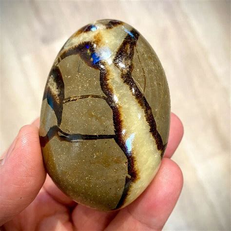 Septarian Crystal: Unveiling the Healing Power and Practical Applications of the Dragon Stone