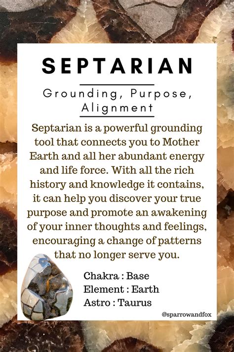 Septarian Crystal Meaning: 3 Unlocking Insights into Your Inner Compass