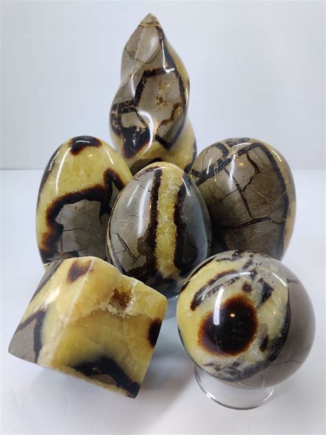 Septarian Dragon Stone: Unveiling the Enchanted Geological Marvel