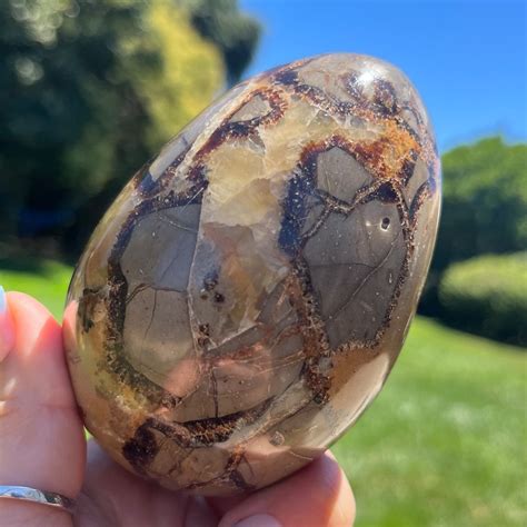 Septarian Egg: A Journey through Time and Geology