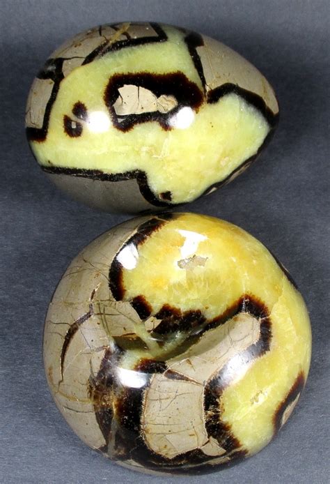 Septarian Egg: A Multifaceted Stone with Unparalleled Properties