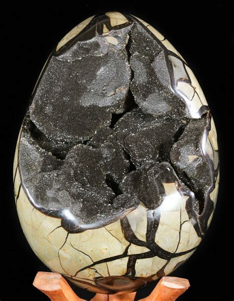 Septarian Egg: An Extraordinary Geological Masterpiece