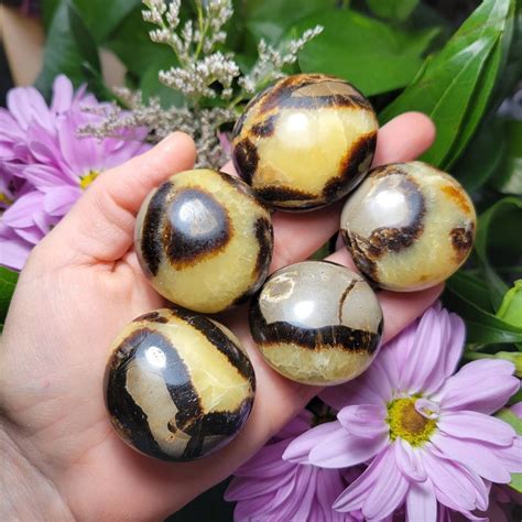 Septarian Egg: The Enigmatic Stone That Unlocks Inner Guidance