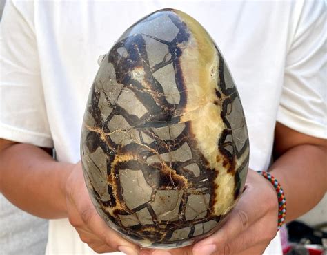 Septarian Egg: The Ultimate VS. Guide for 2025