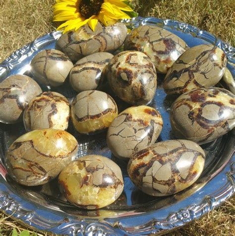 Septarian Eggs: A Journey into the Earth's History