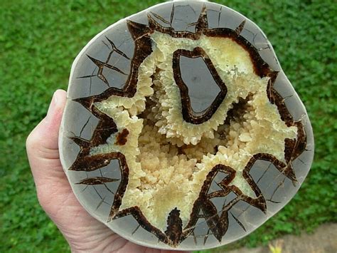 Septarian Nodule: Unveil the Ancient Treasures of the Earth