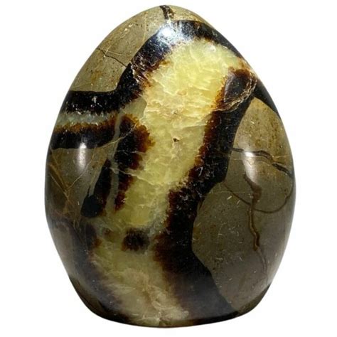 Septarian Nodule for Sale: A Comprehensive Guide to Healing Crystals