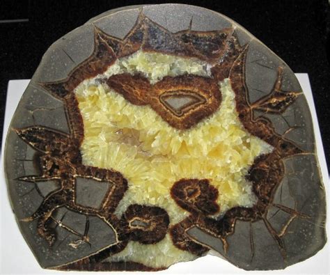 Septarian Nodule for Sale: Uncover the Ancient Secrets of Mother Earth