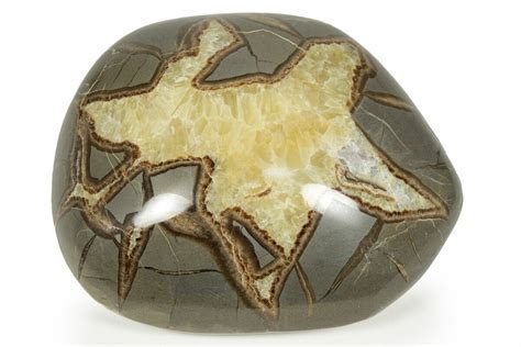 Septarian Nodules for Sale: Uncover the Hidden Treasures of the Earth