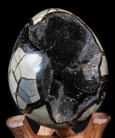 Septarian Stone: A Geode of Wonders