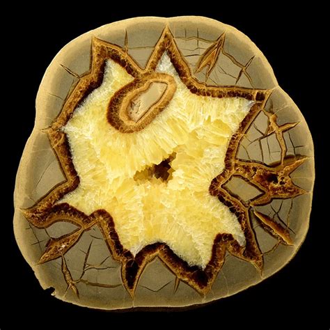 Septarian Stone: A Geological Treasure with Remarkable Properties and Applications