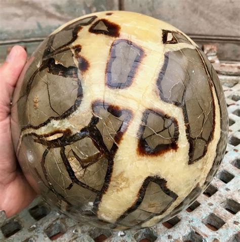 Septarian Stone: The Enigmatic Gemstone of Transformation and Healing